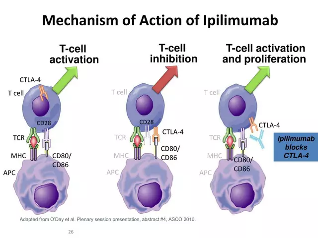 Understanding the Mechanism of Action of Eplerenone