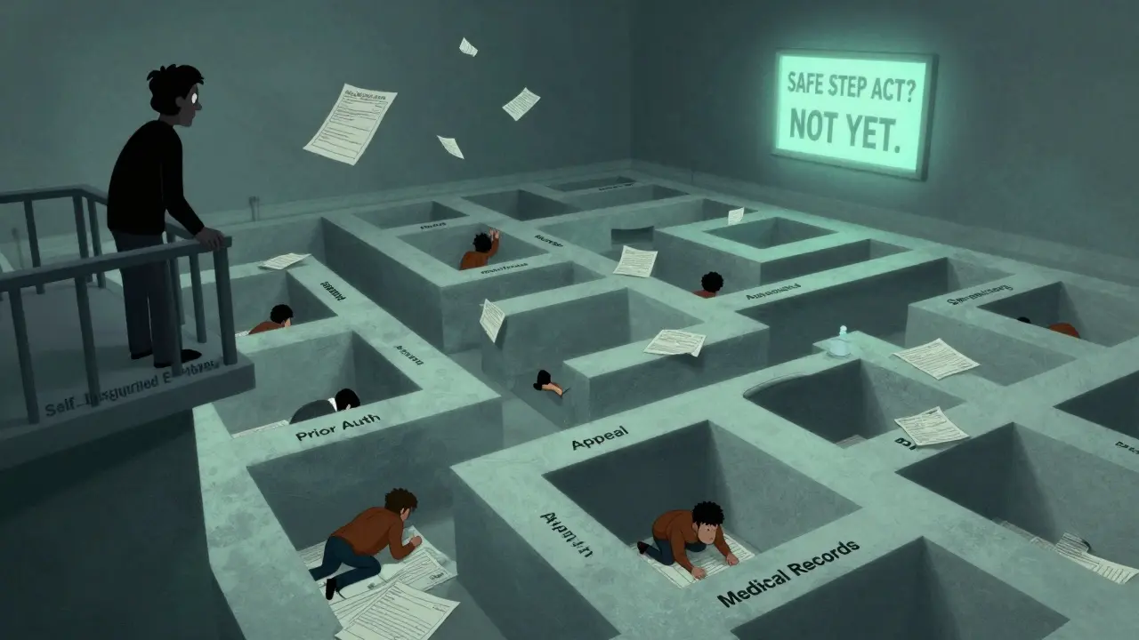 Patients trapped in a maze of insurance forms under the watchful eye of a shadowy corporate figure.